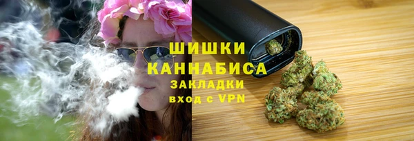 PSILOCYBIN Михайловск