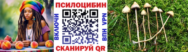 ссылка на мегу вход  где купить наркоту  Апшеронск  Галлюциногенные грибы прущие грибы 