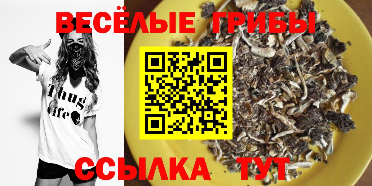 Псилоцибиновые грибы ЛСД Апшеронск