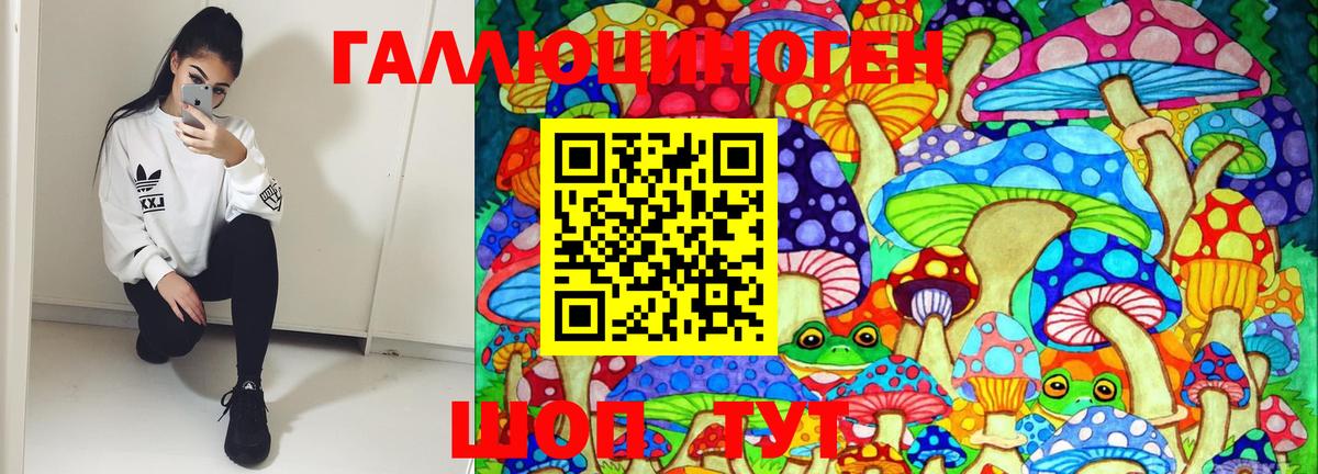 Псилоцибиновые грибы Cubensis  Апшеронск  Галлюциногенные грибы ЛСД 