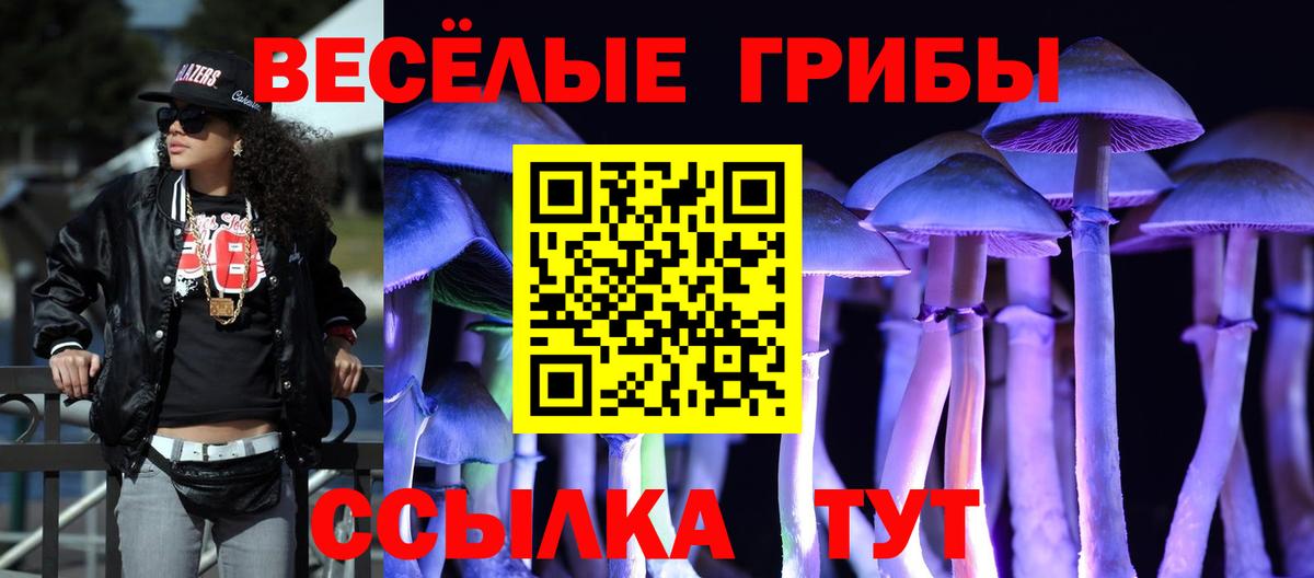 Галлюциногенные грибы ЛСД Апшеронск